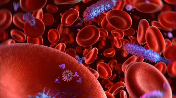 5 Simple Ways to Protect Yourself from Bloodborne Pathogens at Work