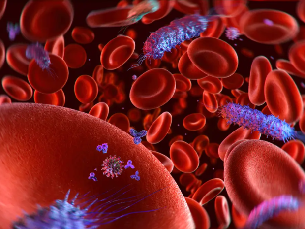 5 Simple Ways to Protect Yourself from Bloodborne Pathogens at Work
