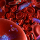 5 Simple Ways to Protect Yourself from Bloodborne Pathogens at Work