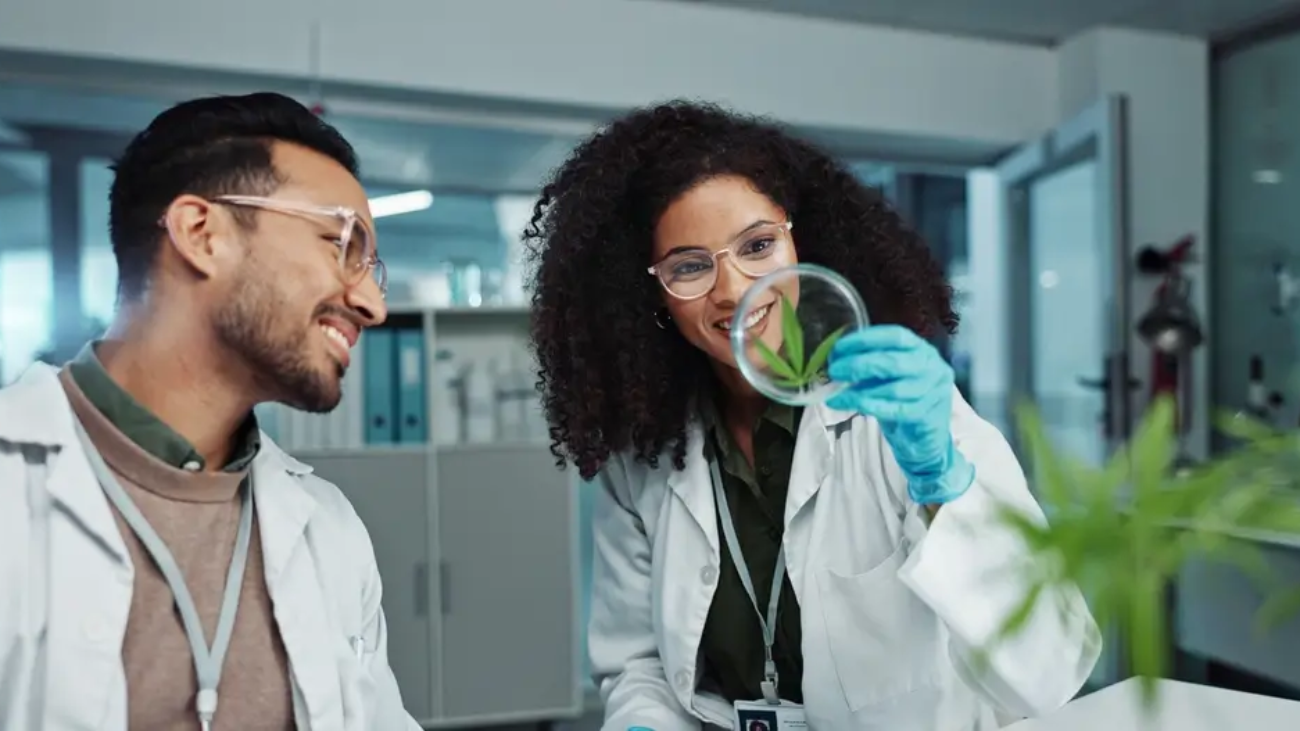 By the Numbers Cannabis Use Among U.S. Workers by Industry