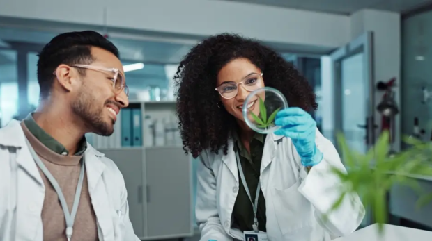 By the Numbers Cannabis Use Among U.S. Workers by Industry