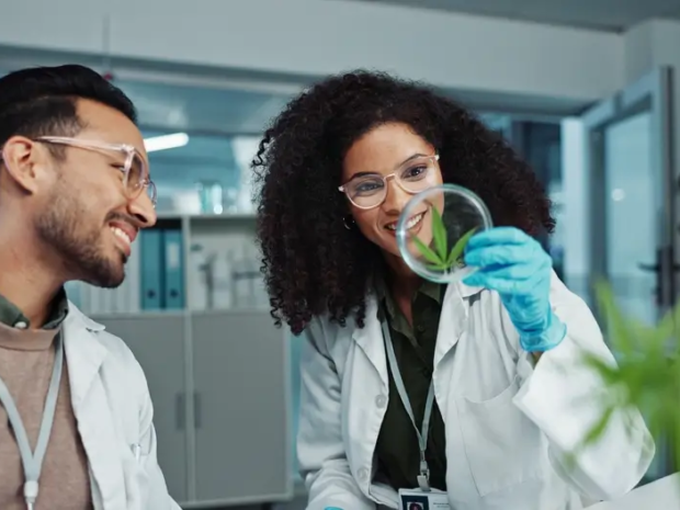 By the Numbers Cannabis Use Among U.S. Workers by Industry