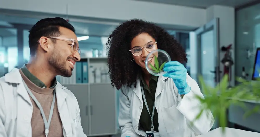 By the Numbers Cannabis Use Among U.S. Workers by Industry