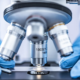 Holiday Season Risks in Clinical Trial Management What CRCs Need to Watch Out For