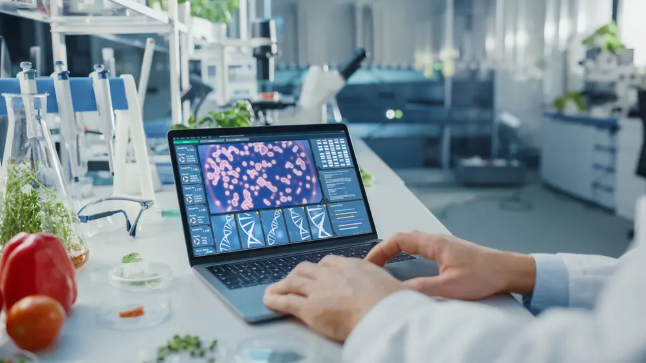 How FDA Inspects Computerized Systems Under cGMP A Legal Overview