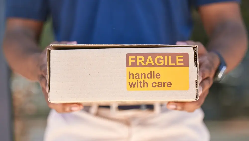 Safe Handling Practices During Product Destruction in Regulated Industries (USA)
